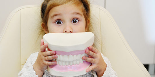 toothfairy pediatrics